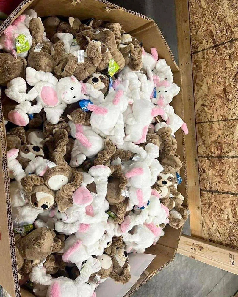 Teddy Bear Pallets